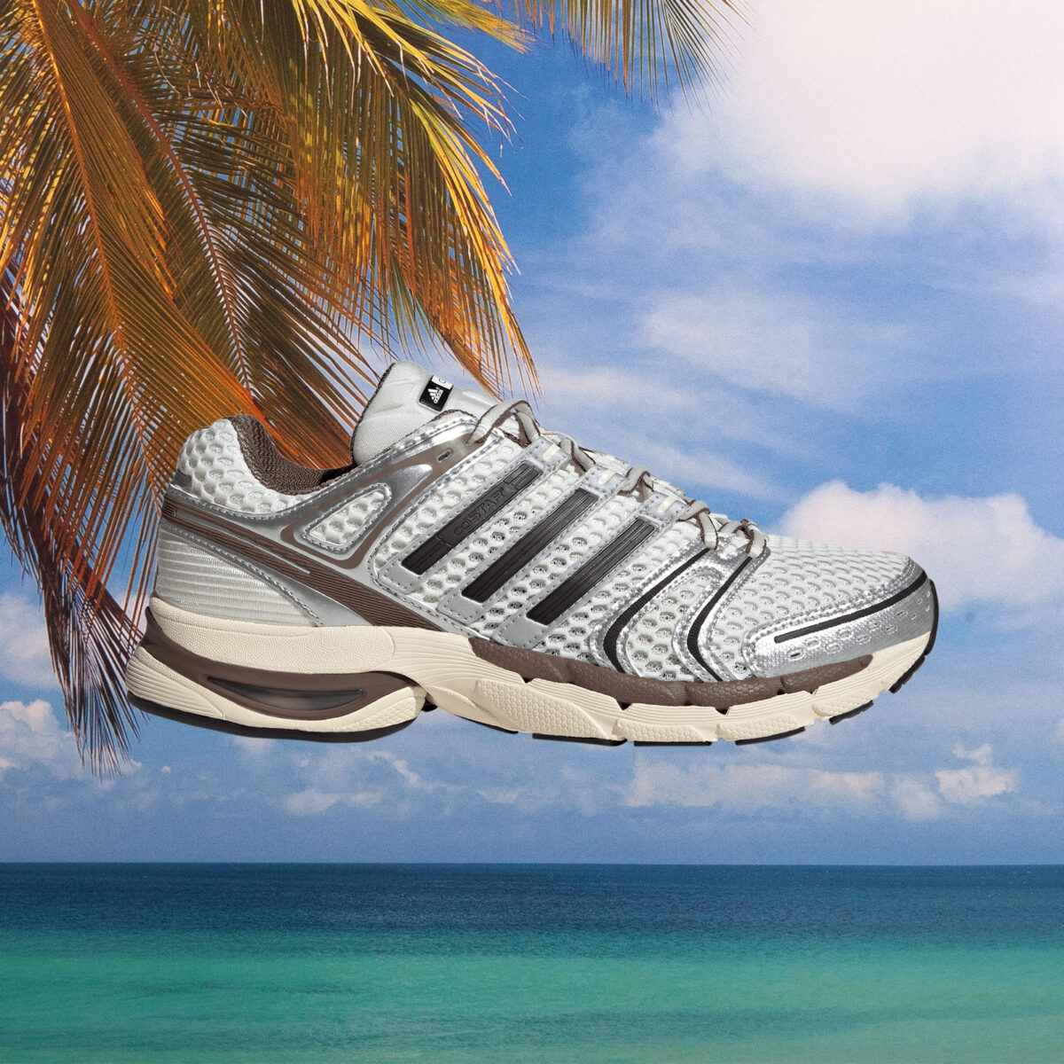 adidas - Adistar Control 5 - White / Black