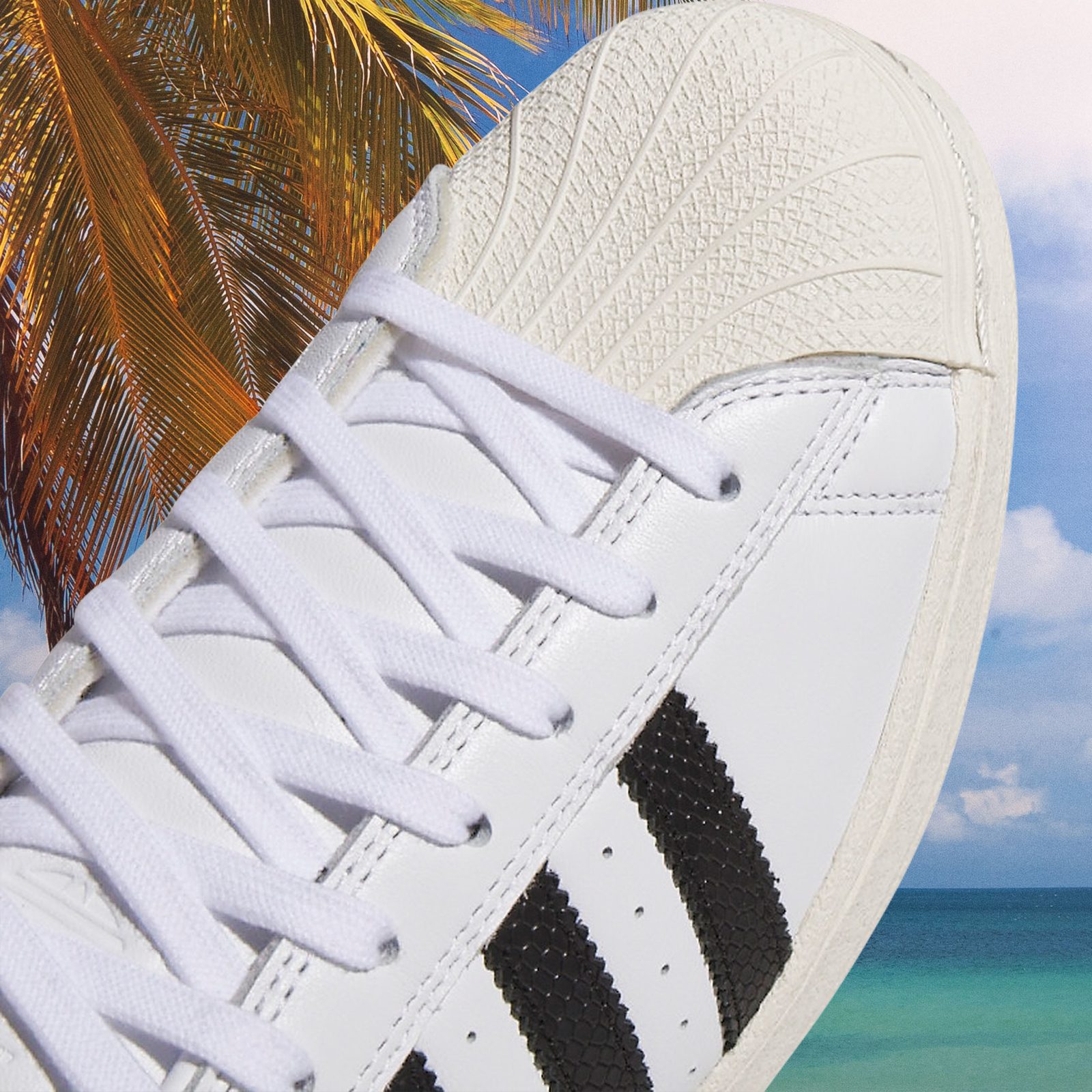 adidas - Superstar ADV - White / Black