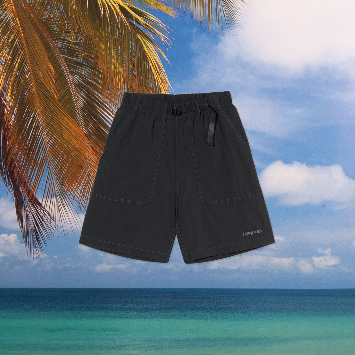 Polar Skate Co. - Hike Shorts - Vintage Black
