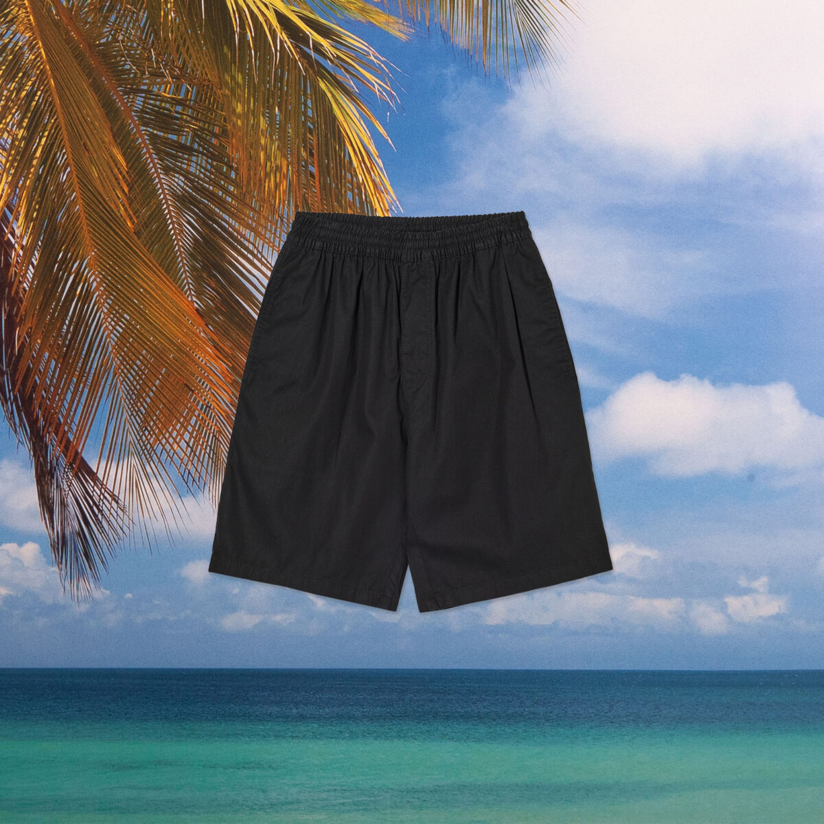 Polar Skate Co. - Surf Shorts - Black