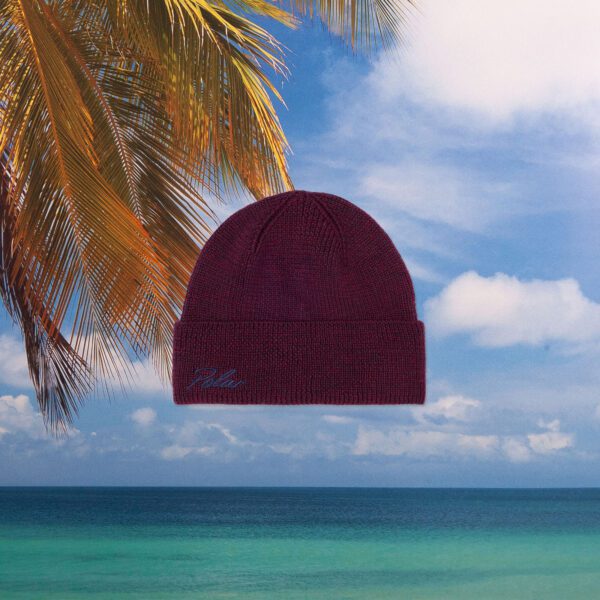 Polar Skate Co. - Simon Beanie - Bordeaux