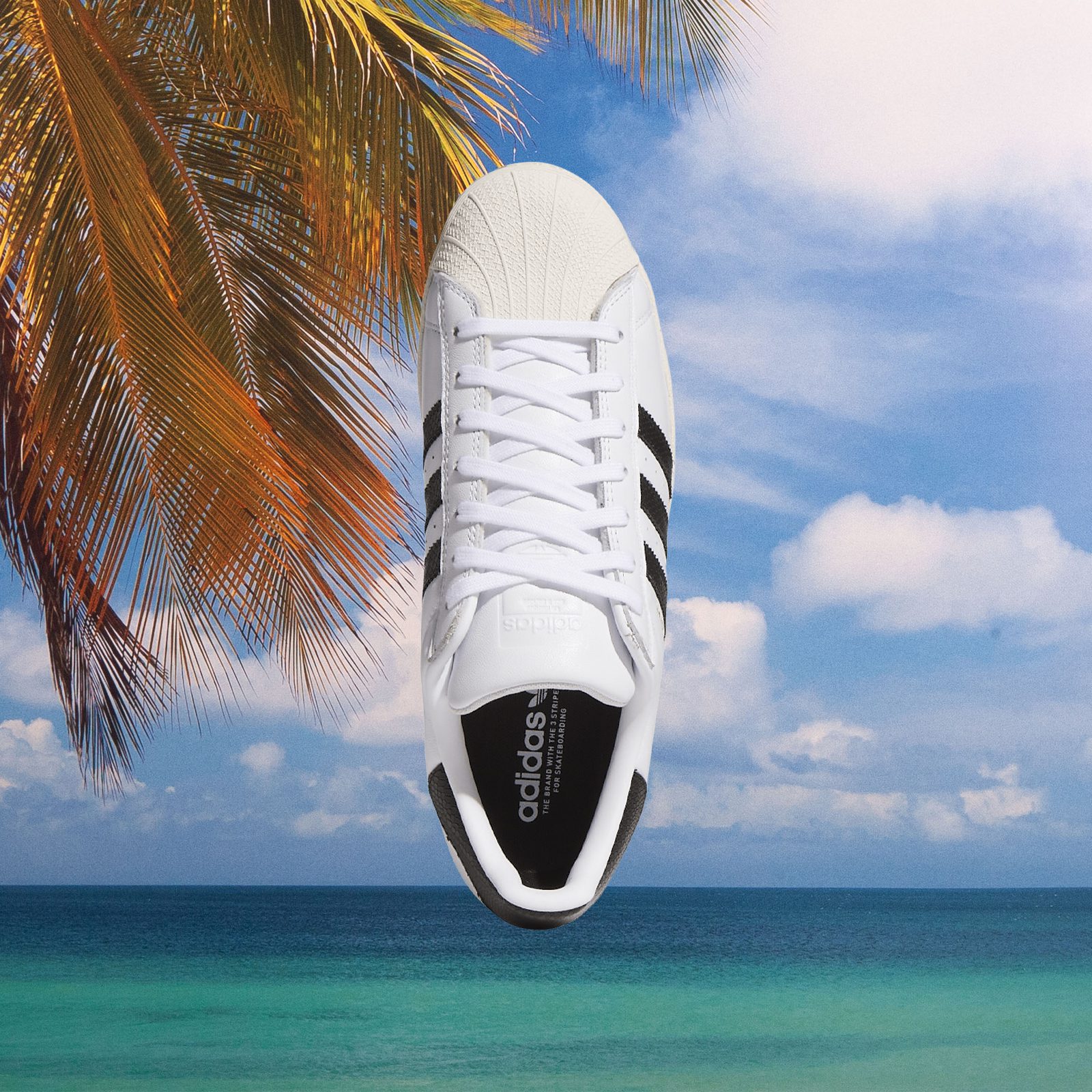adidas - Superstar ADV - White / Black