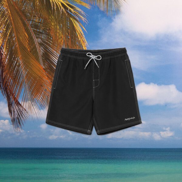 Polar Skate Co. - Ziggy Swim Shorts - Vintage Black