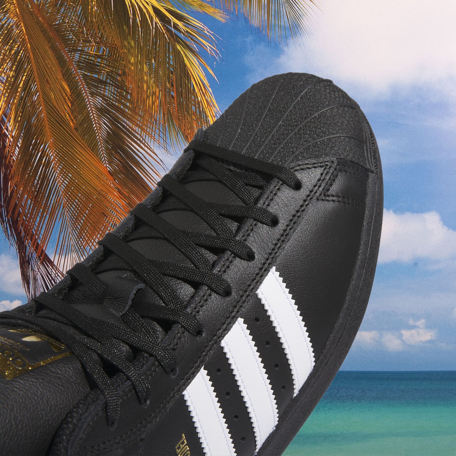 adidas - Pro Model ADV - Black / White