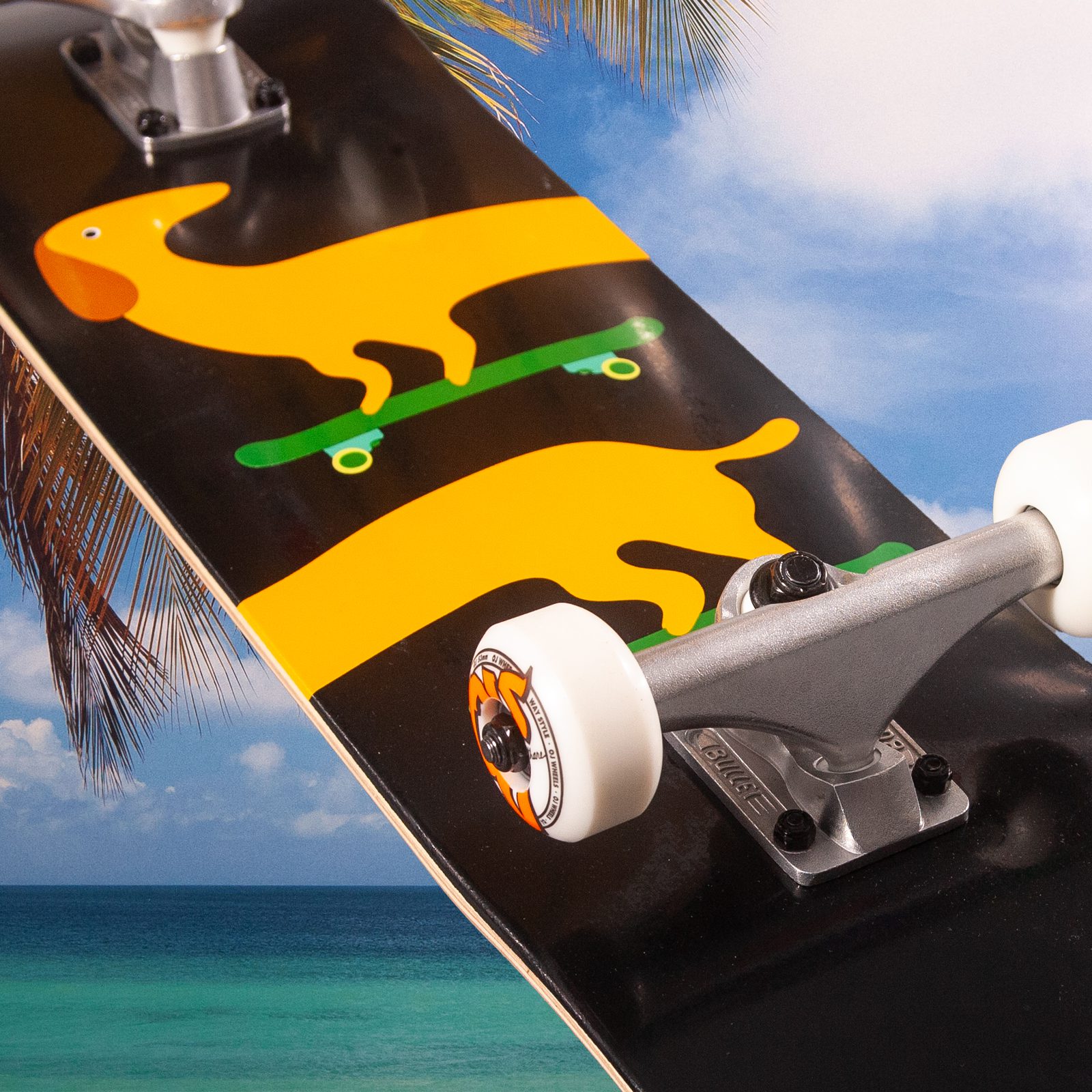 Get Them Kids Rollin - Dackel Kids Complete Children's Skateboard - 7.25 / 7.5