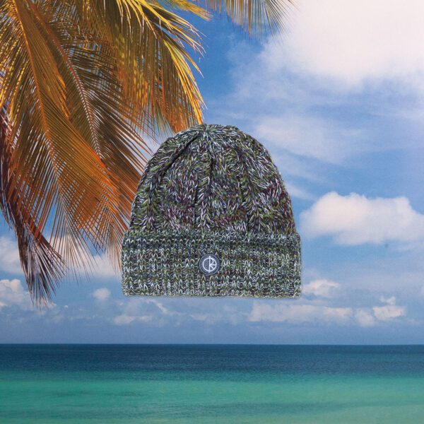 Polar Skate Co. - Braid Beanie - Green