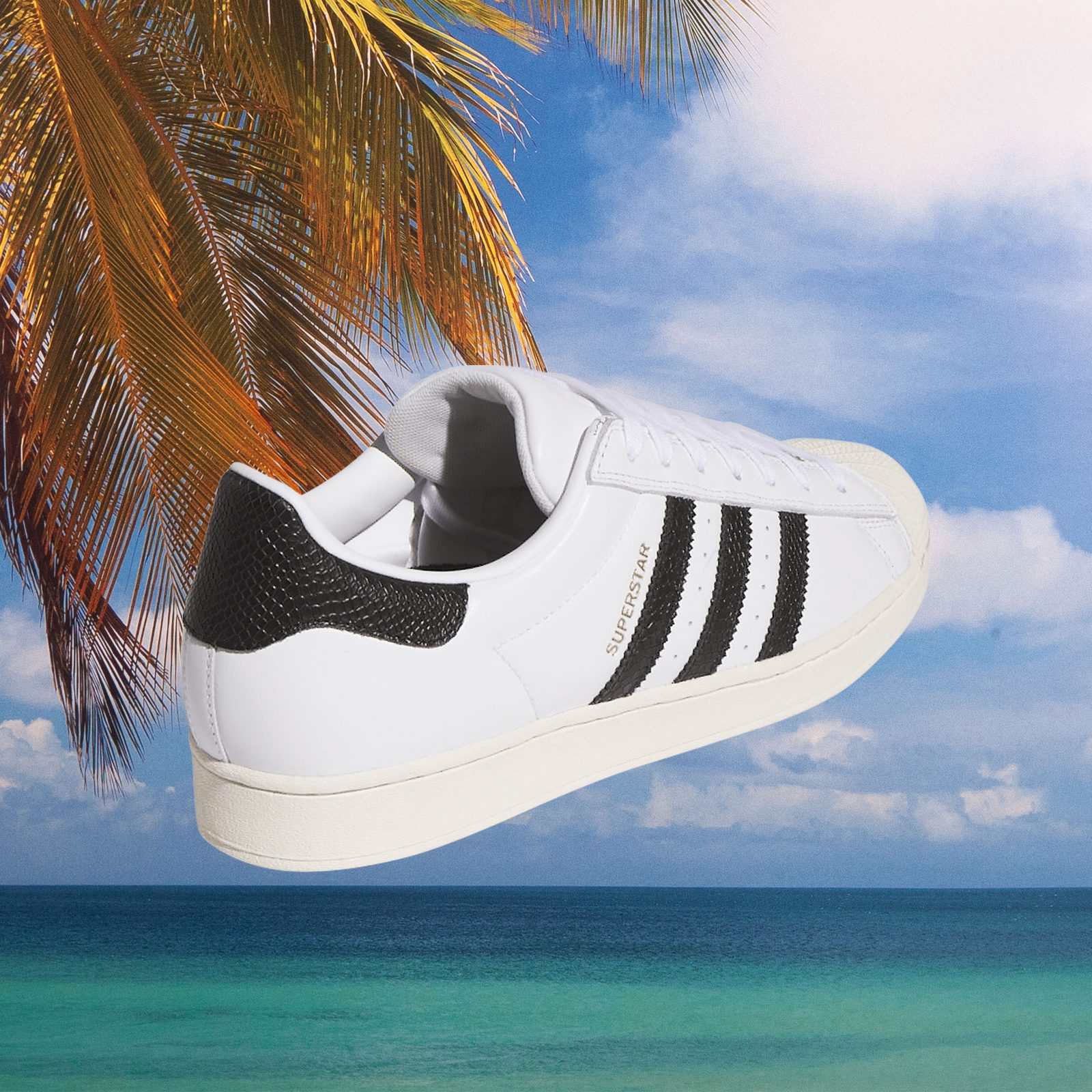 adidas - Superstar ADV - White / Black