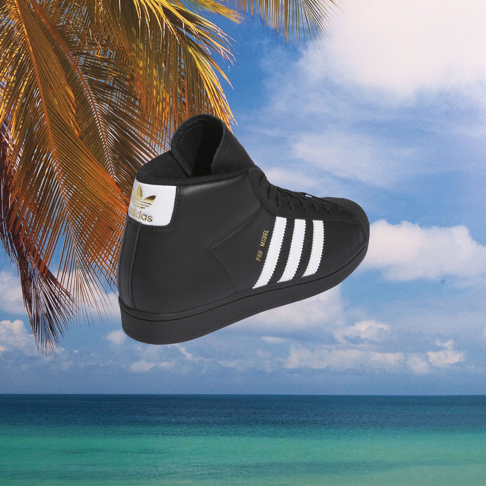 adidas gazelle silver green womens adidas Pro Shell ADV Shoes main image 0