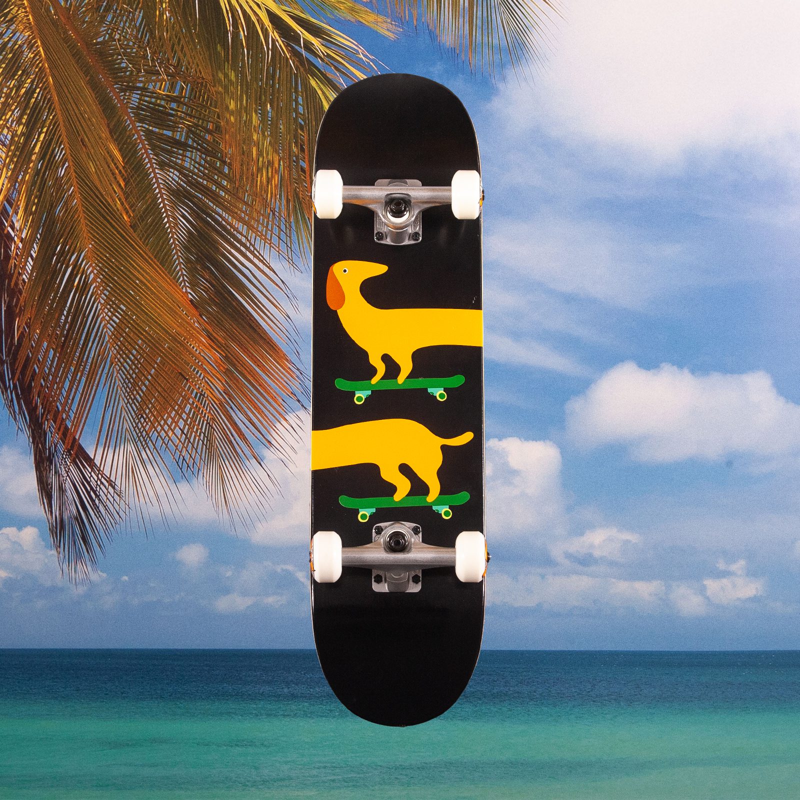 Get Them Kids Rollin - Dackel Kids Complete Children's Skateboard - 7.25 / 7.5