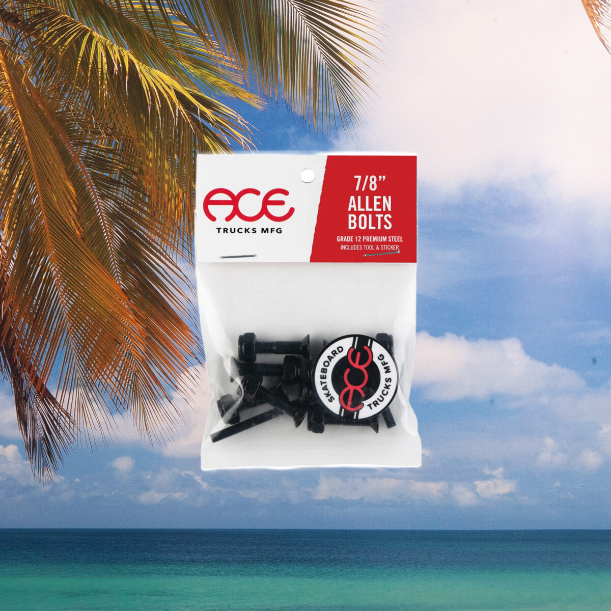 Ace Trucks - Bolts Allen - 7/8"