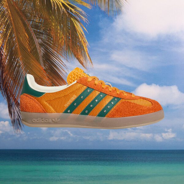 Limited Skateshoes at SooHotRightNow Onlineshop - SHRN Skateshop