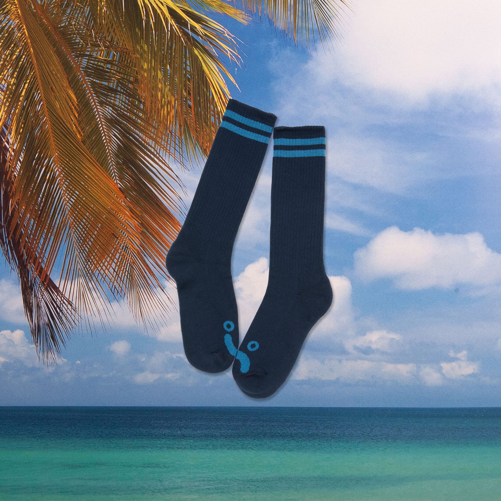 Polar Skate Co. - Happy Sad - Long Rib Socks - Dark Blue / Blue