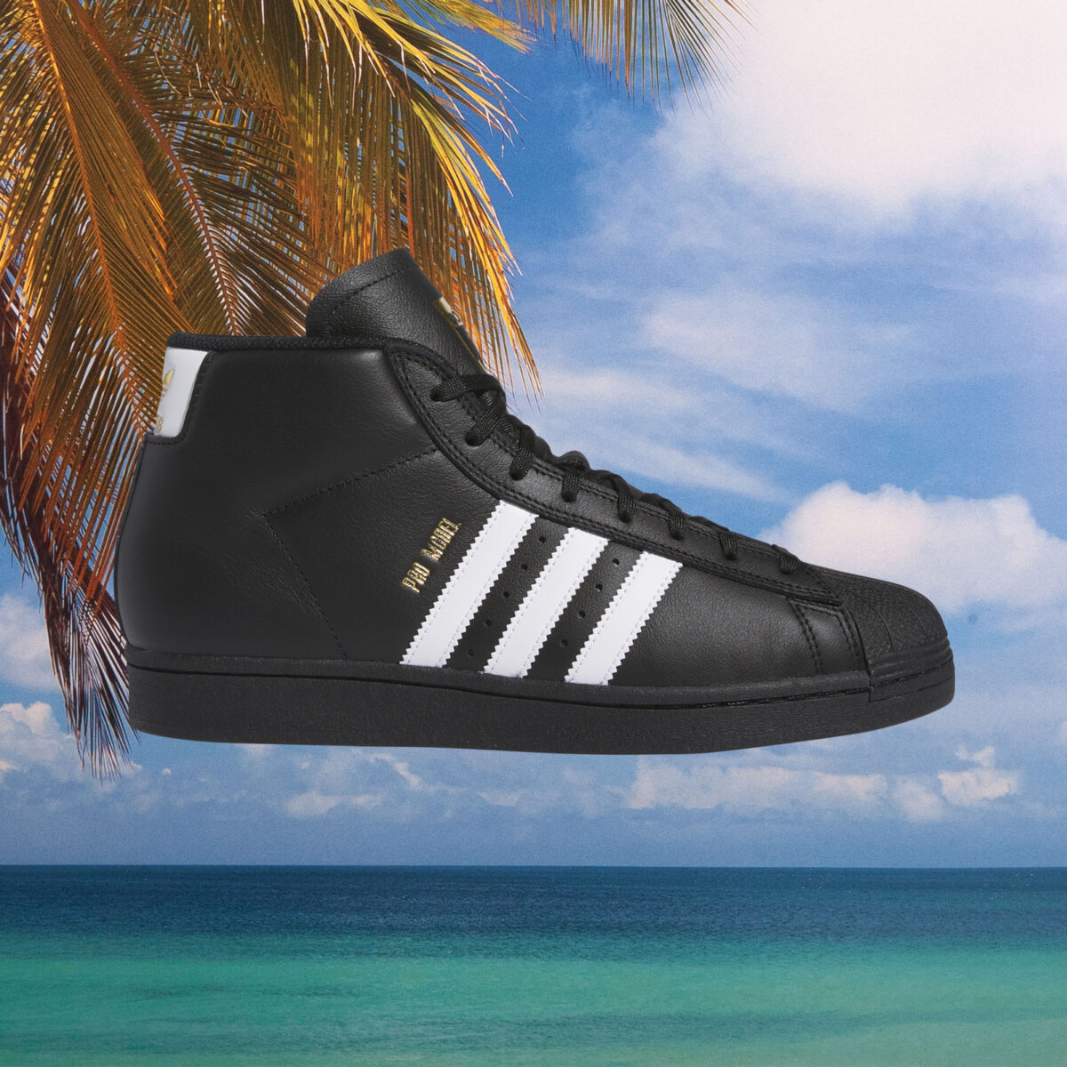 adidas Pro Model ADV Black White at SooHotRightNow