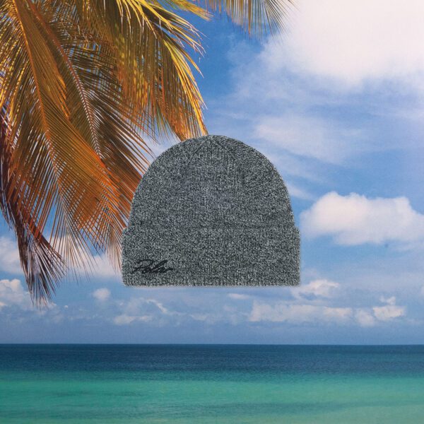 Polar Skate Co. - Simon Beanie - Salt & Pepper