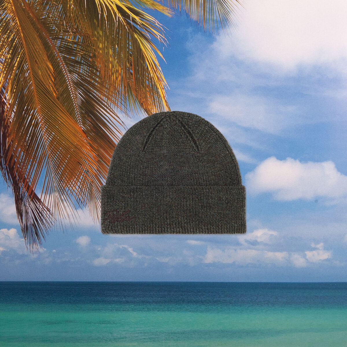 Polar Skate Co. - Simon Beanie - Army Green
