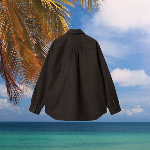 Carhartt WIP - Truman L/S Shirt - Chocolate / Black