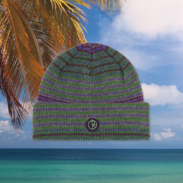 Polar Skate Co. - George Beanie - Purple / Green