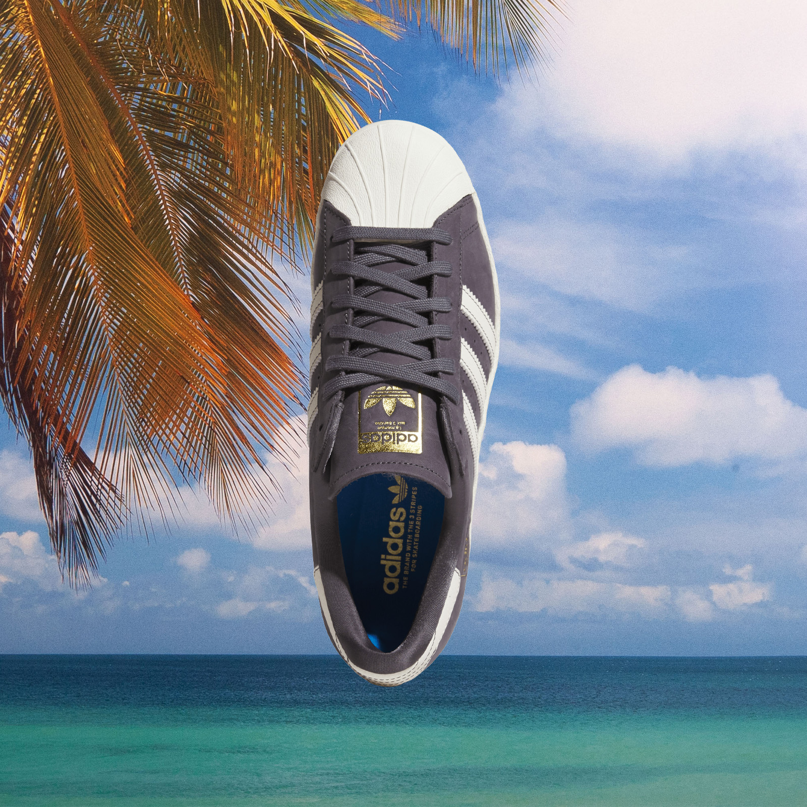 adidas - Superstar 80 ADV - Dark Grey / Aurora White