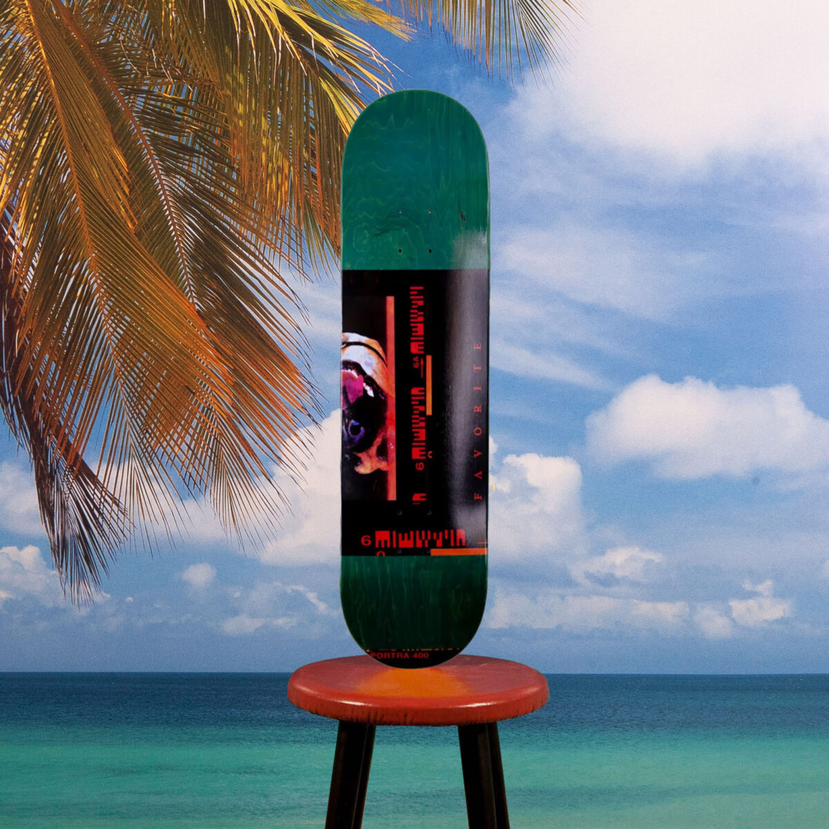 Favorite Skateboards - Film Deck - 8.5