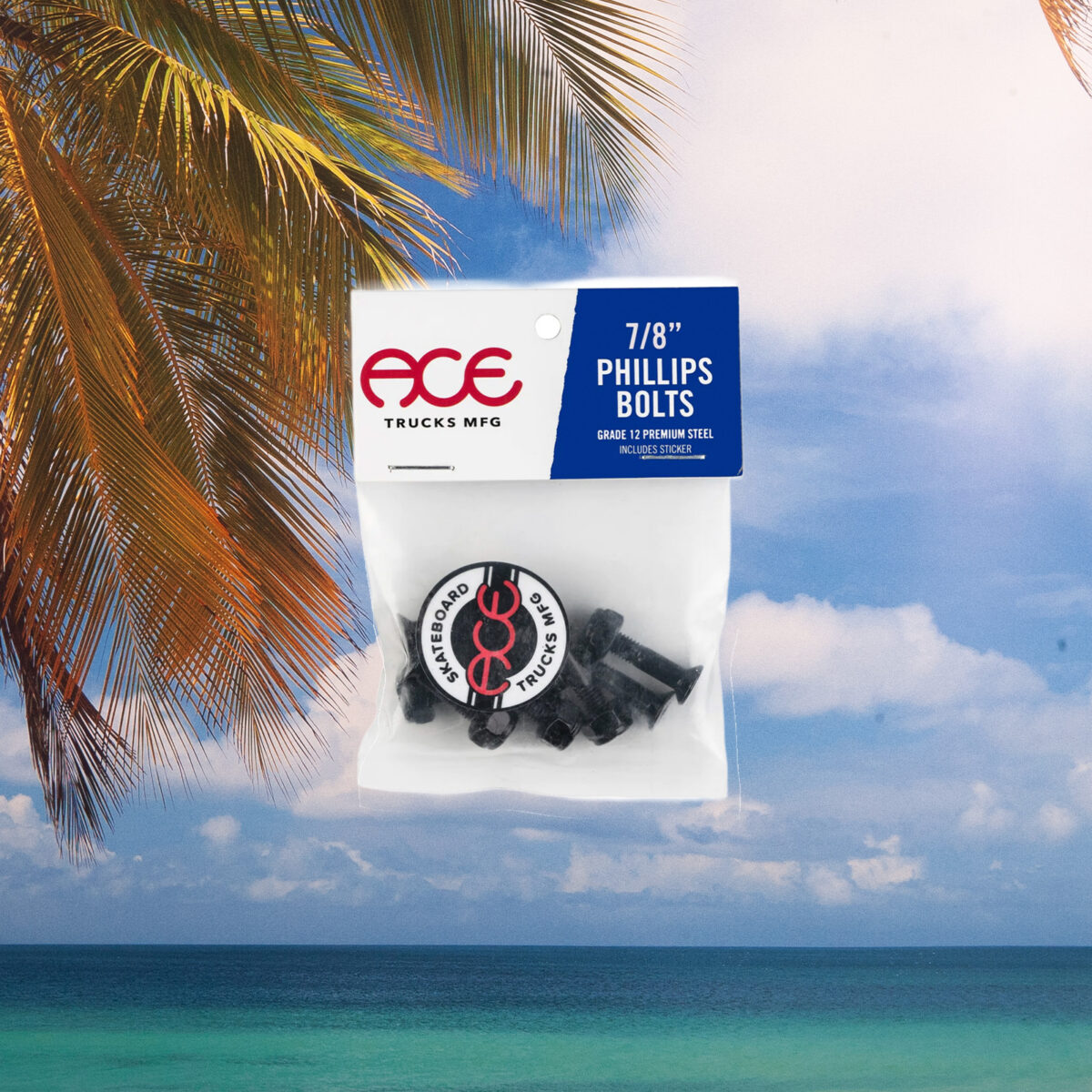 Ace Trucks - Bolts Phillips - 7/8"