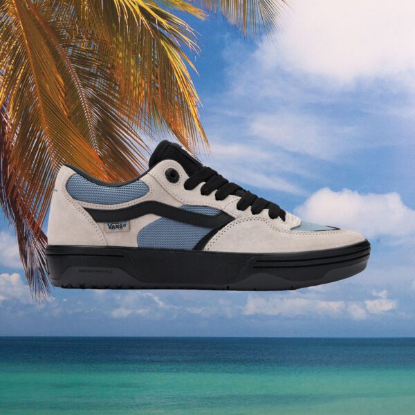 Vans - Skate Rowan 2 - Mushroom