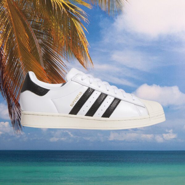 adidas - Superstar ADV - White / Black